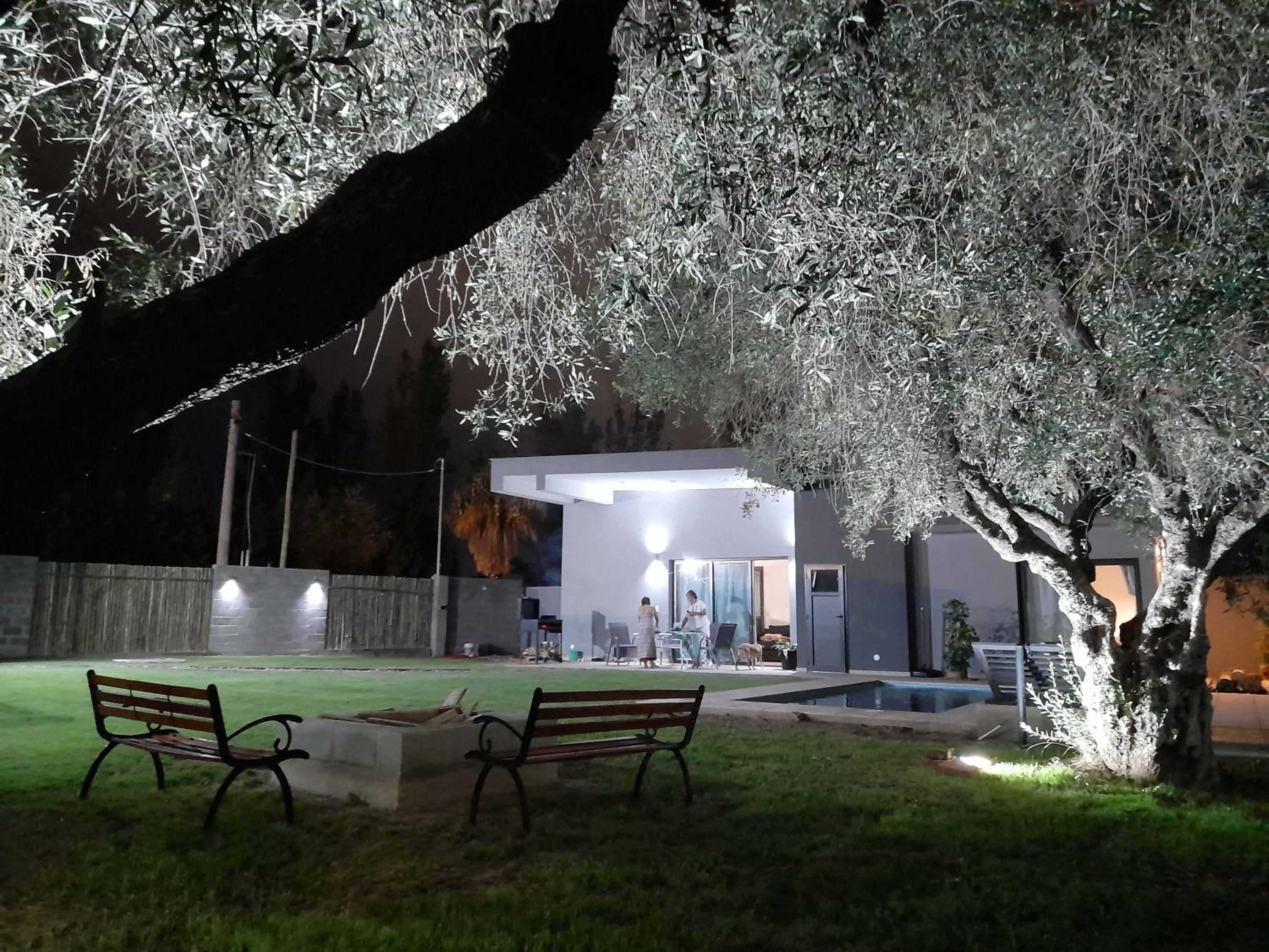 Olivos Luján