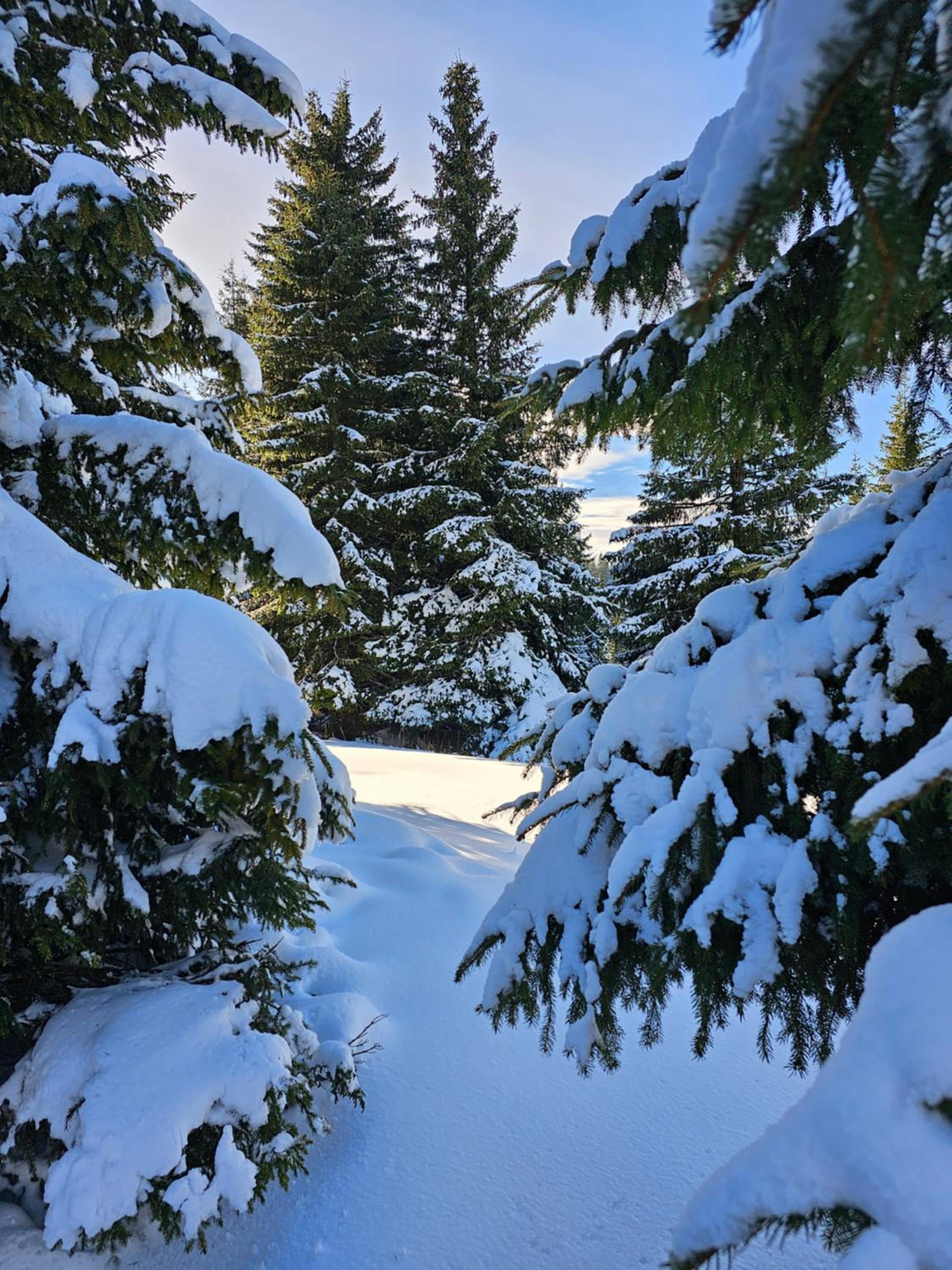 Mantera Apartmani