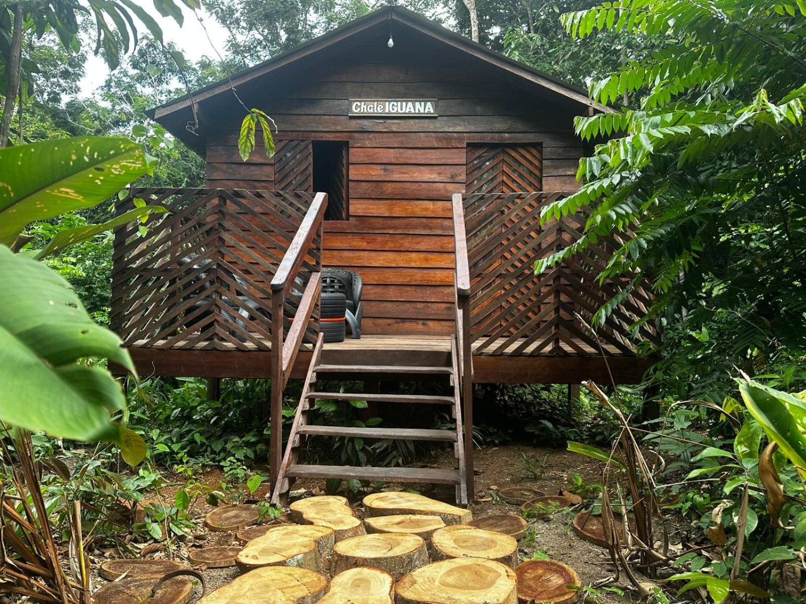Refúgio Samauma - Image 3