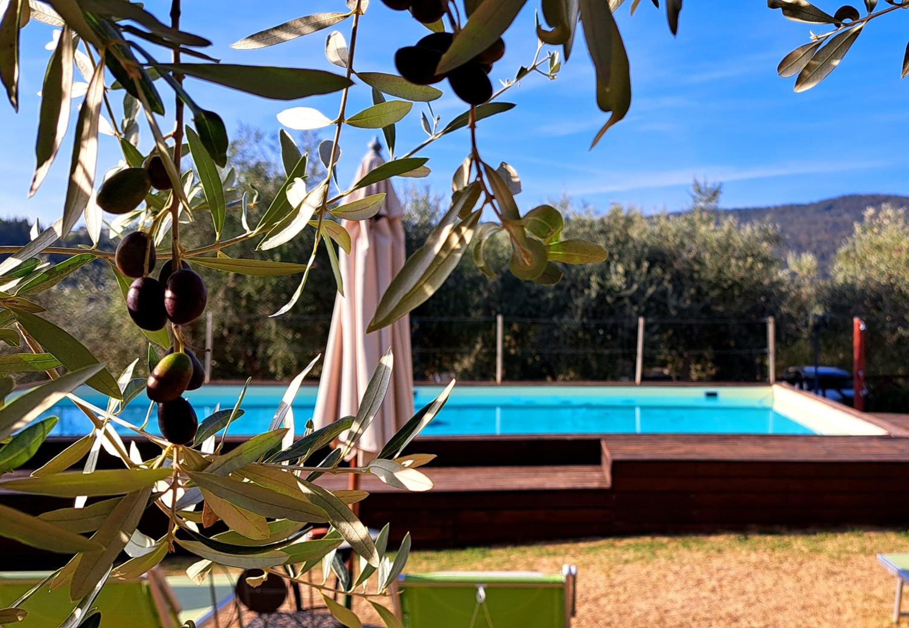 Agriturismo Villa Guarnaschelli view 5