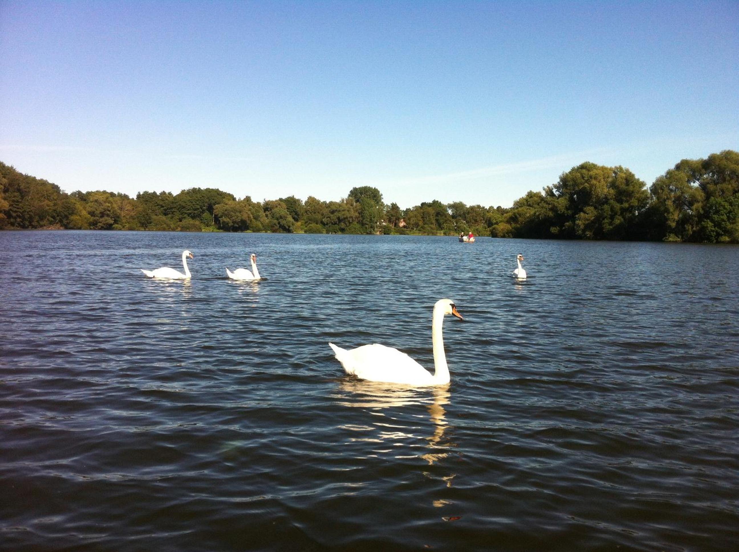 Photo 26