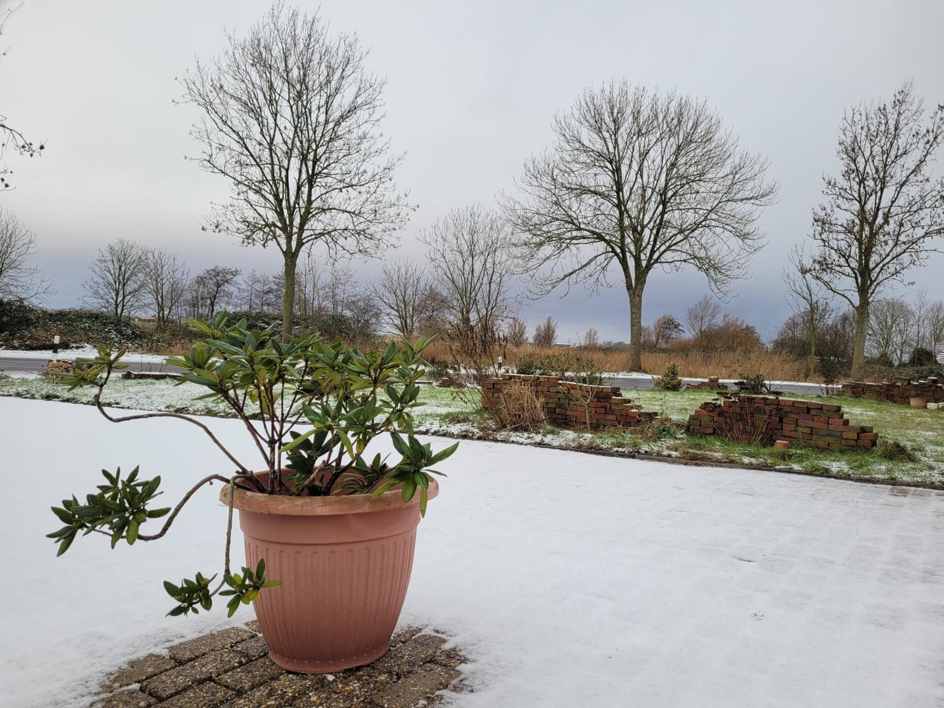Gulfhof Anelis