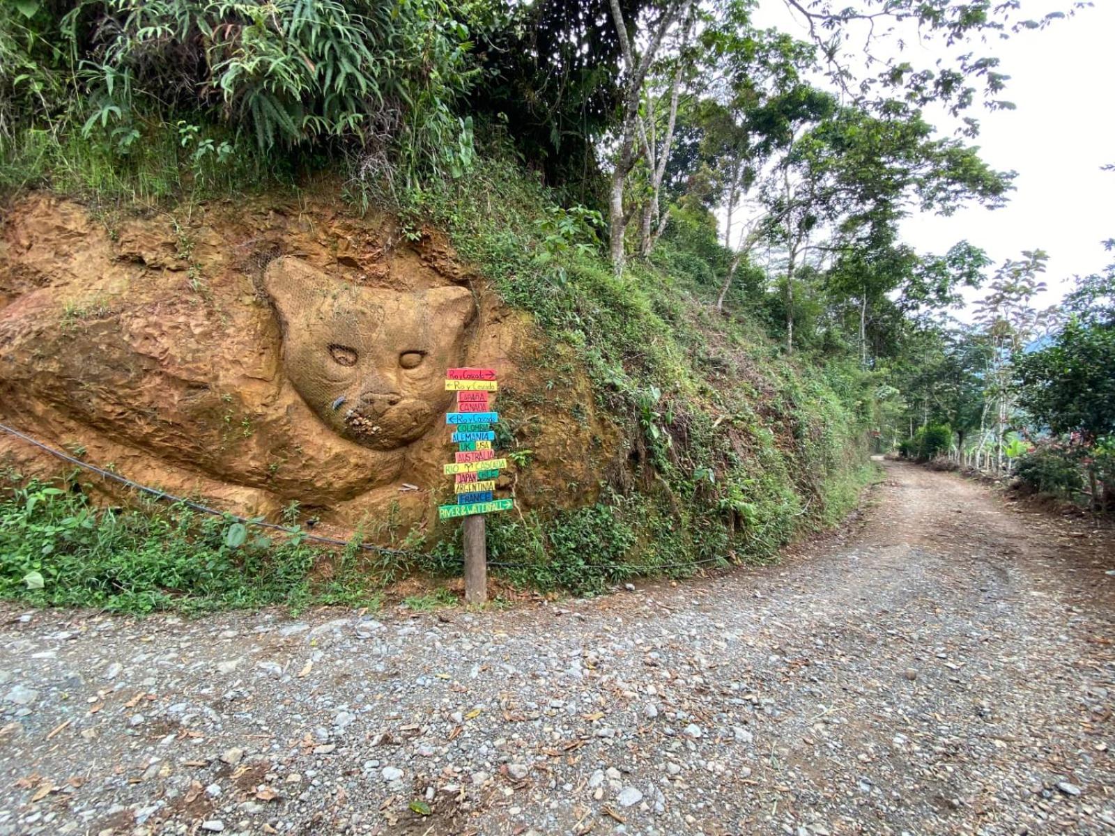 la cabaña del nyctibius