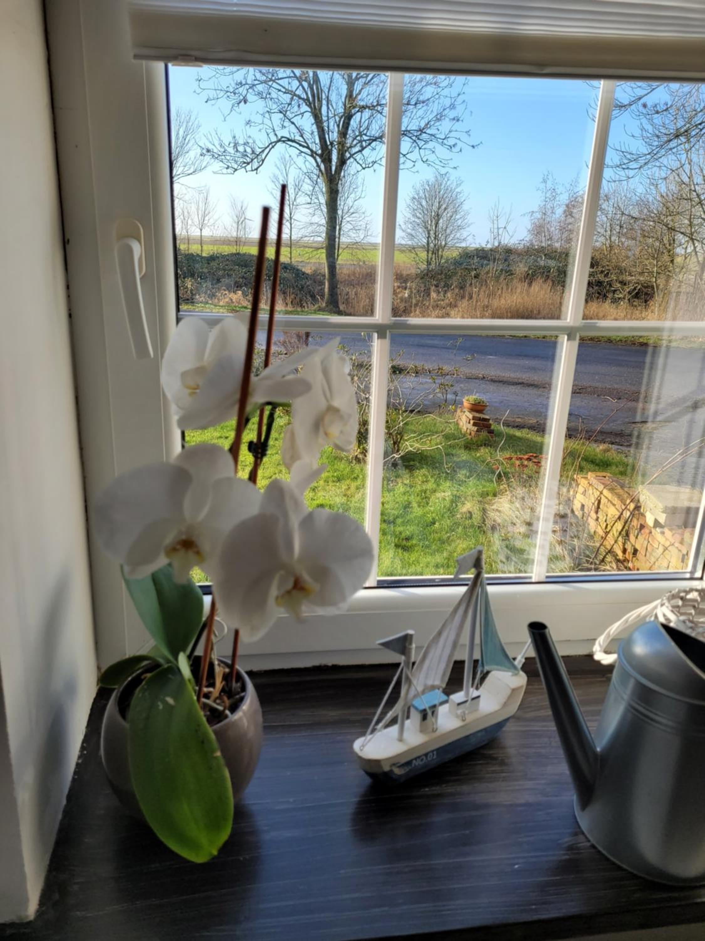 Gulfhof Anelis