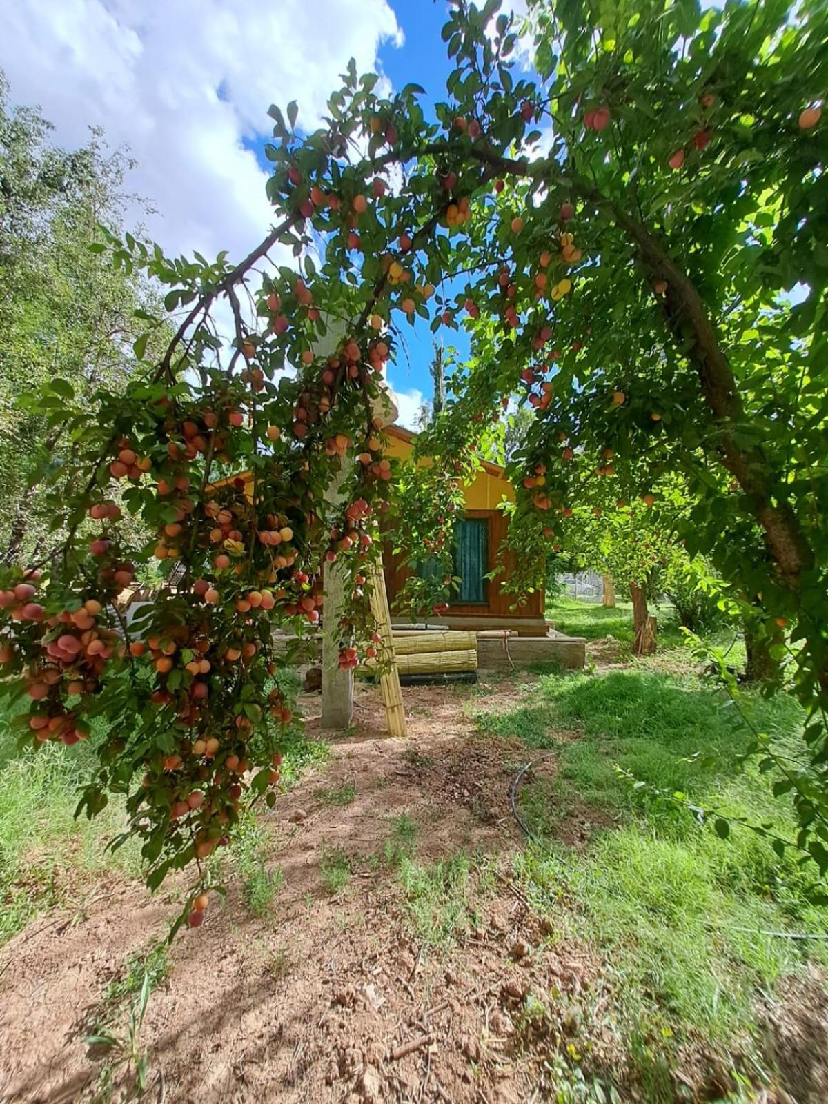 Cabaña en barreal