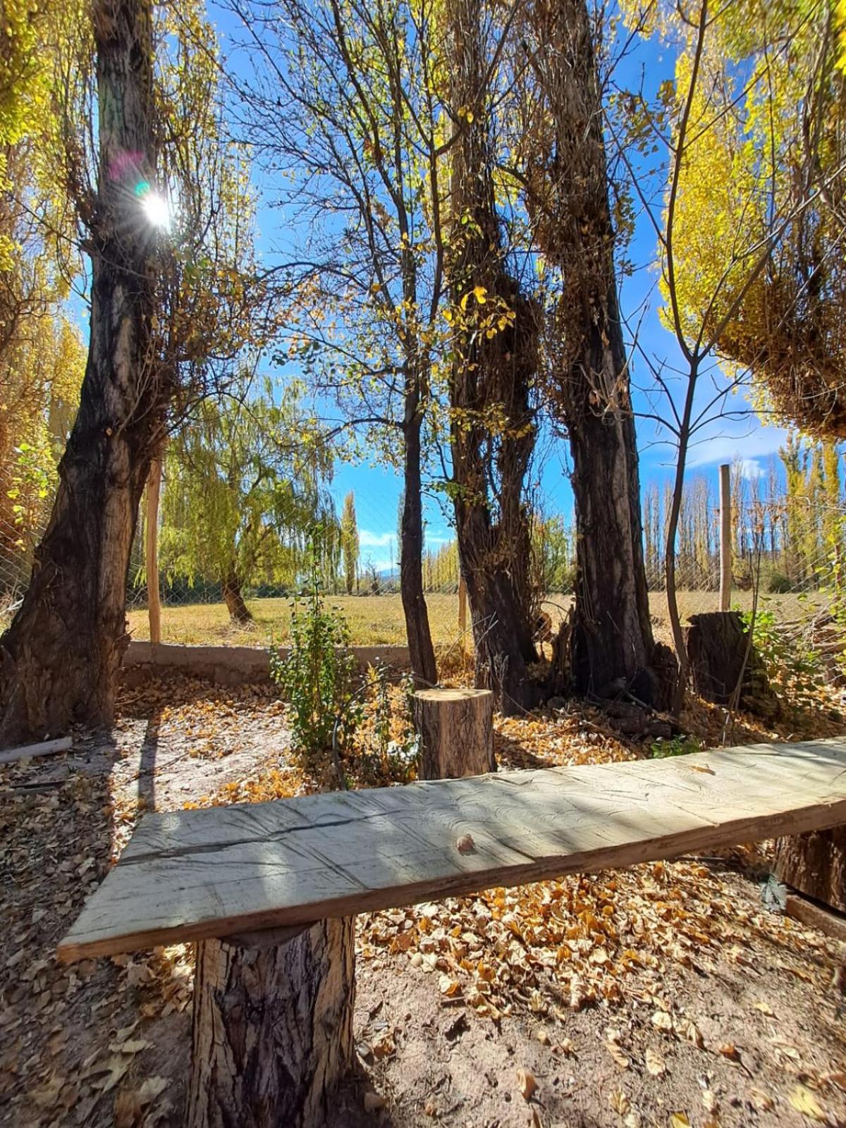 Cabaña en barreal