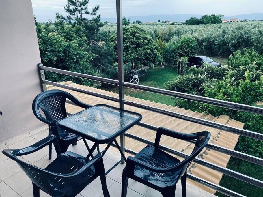 ofrynio kavalas Martin House view 3
