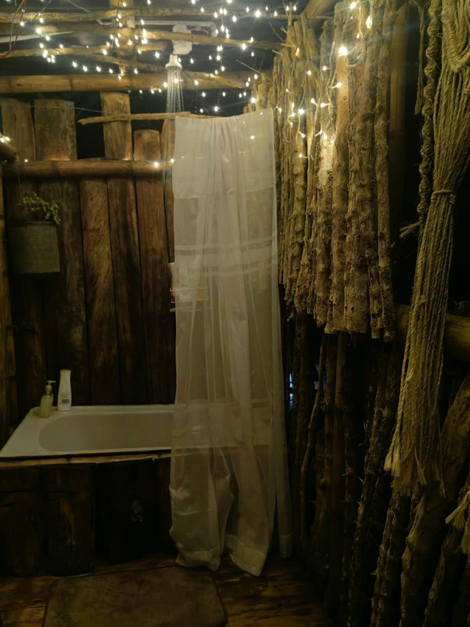 la cabaña del nyctibius