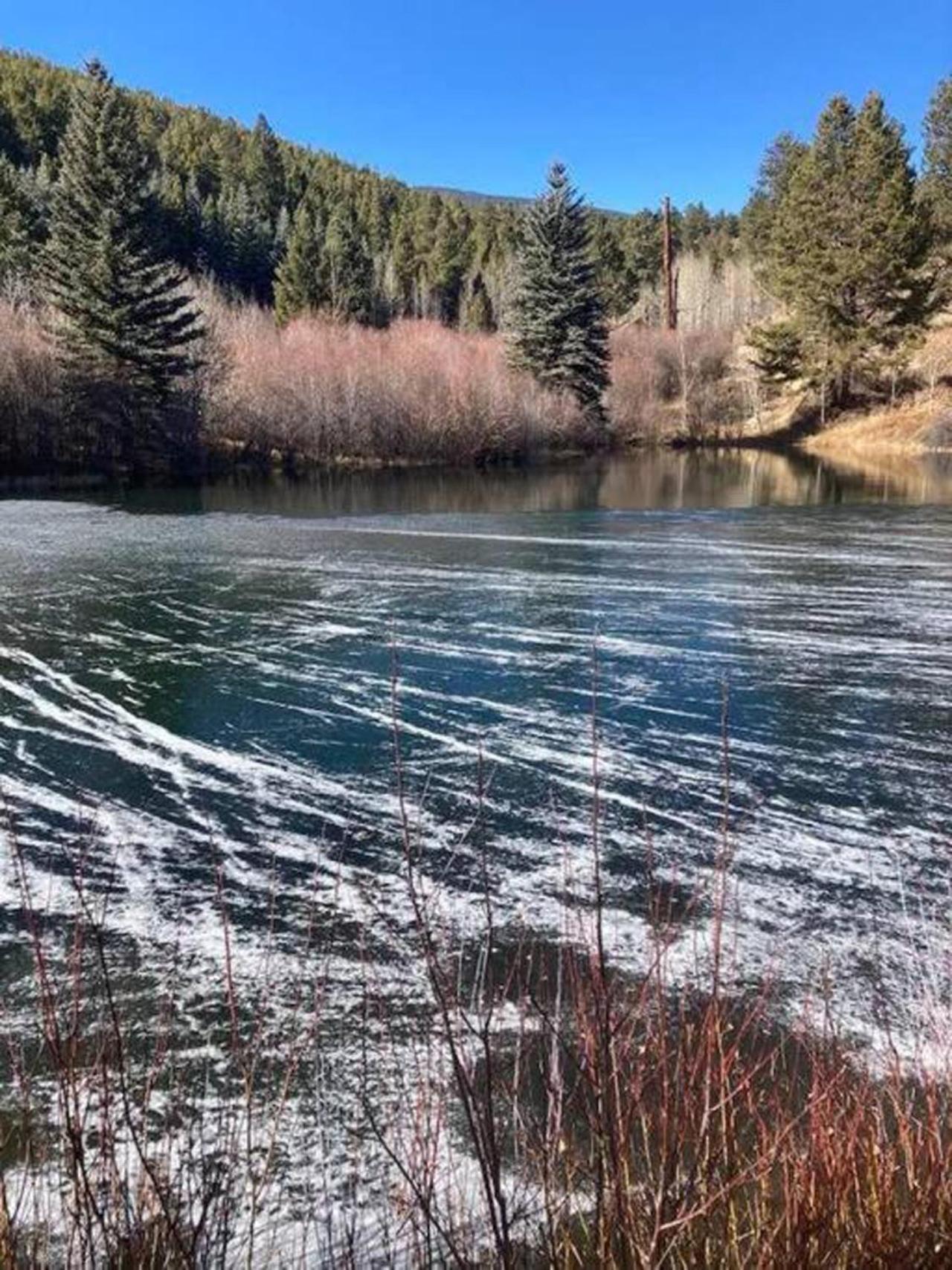 Private 313 Acre retreat/lakes/direct forest entry view 4