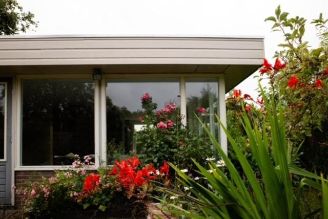 VT wonen stijl vakantiebungalow nabij zee, strand, bos en duinen voor 6 personen view 4