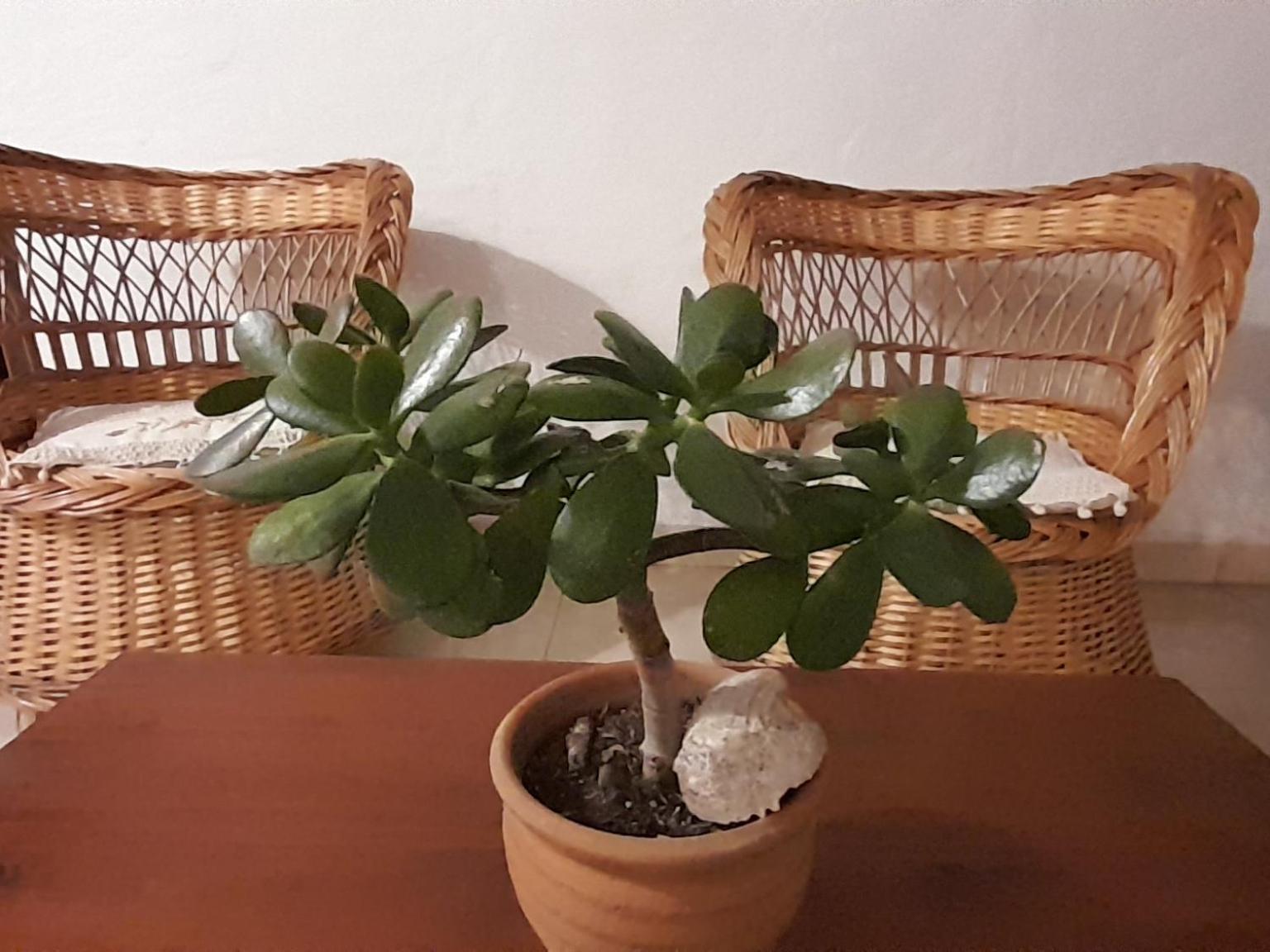 La Montaña B&B