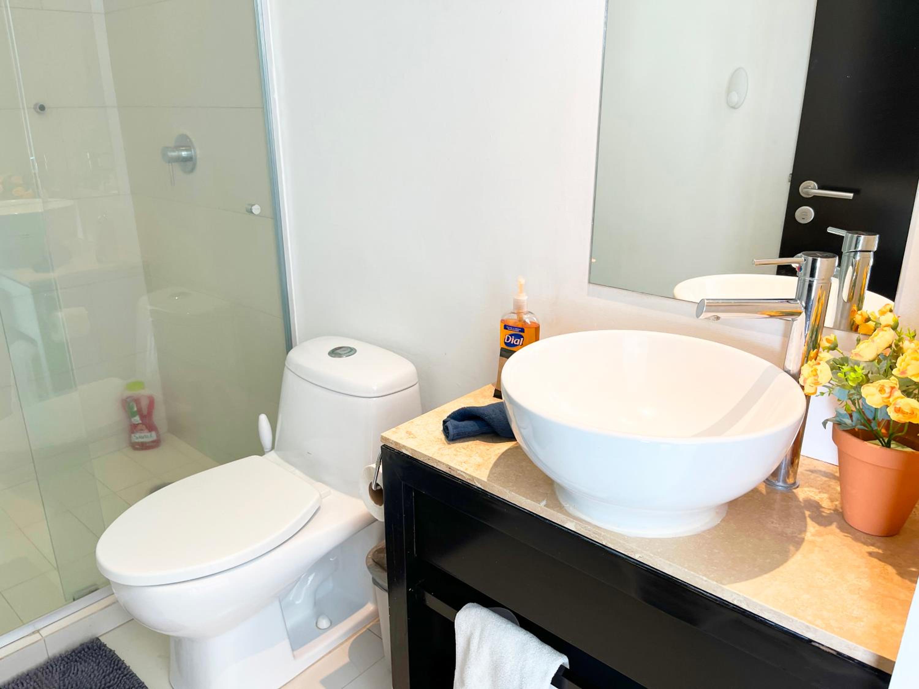 Beguest Polanco 1 BR WSH DRY Terrace photo 4