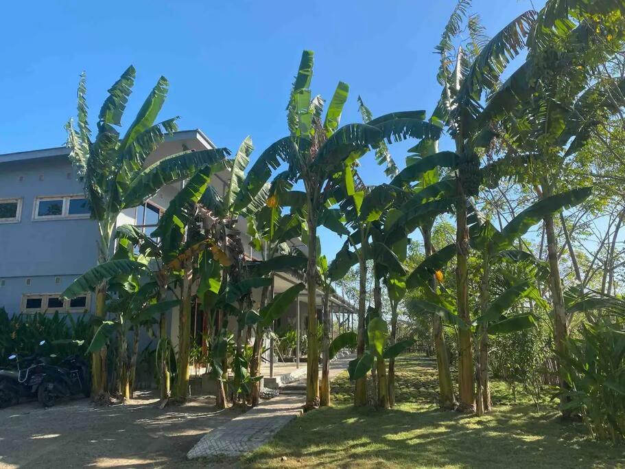 Blamada Villa 1 view 3