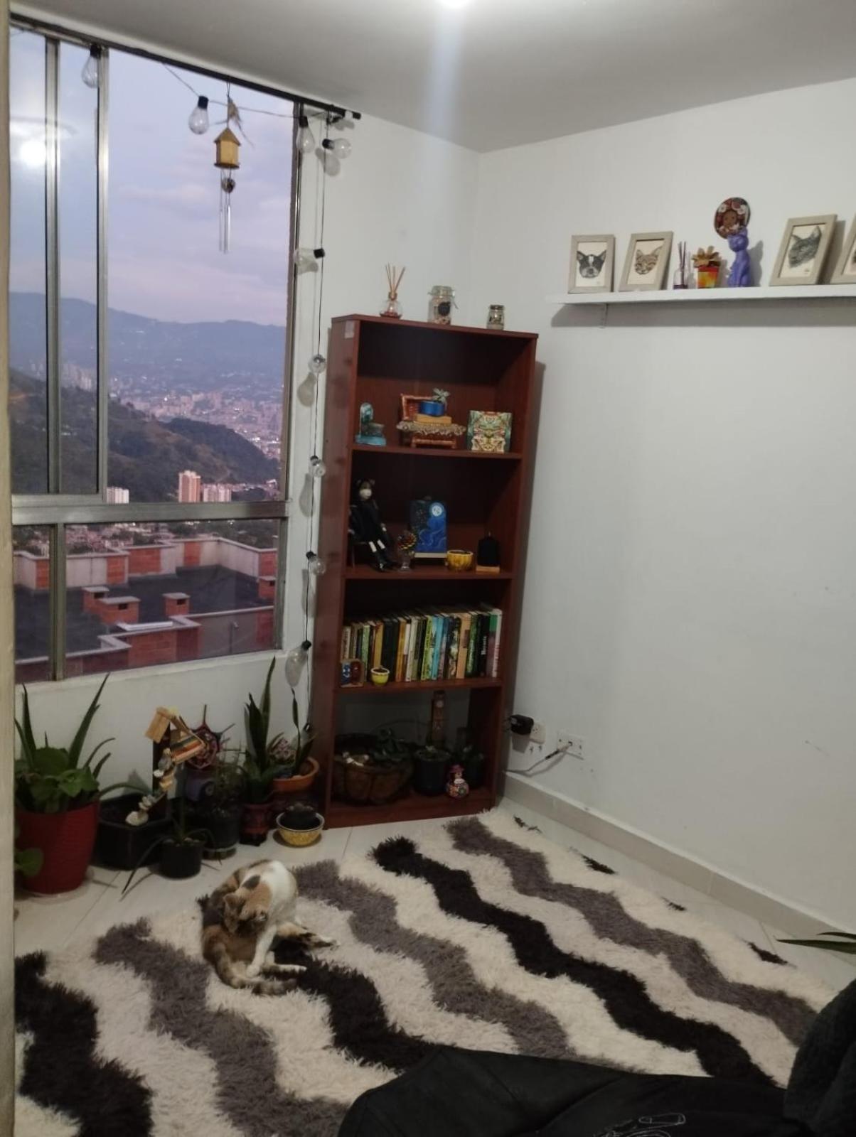 Welcome to Medellin in our home