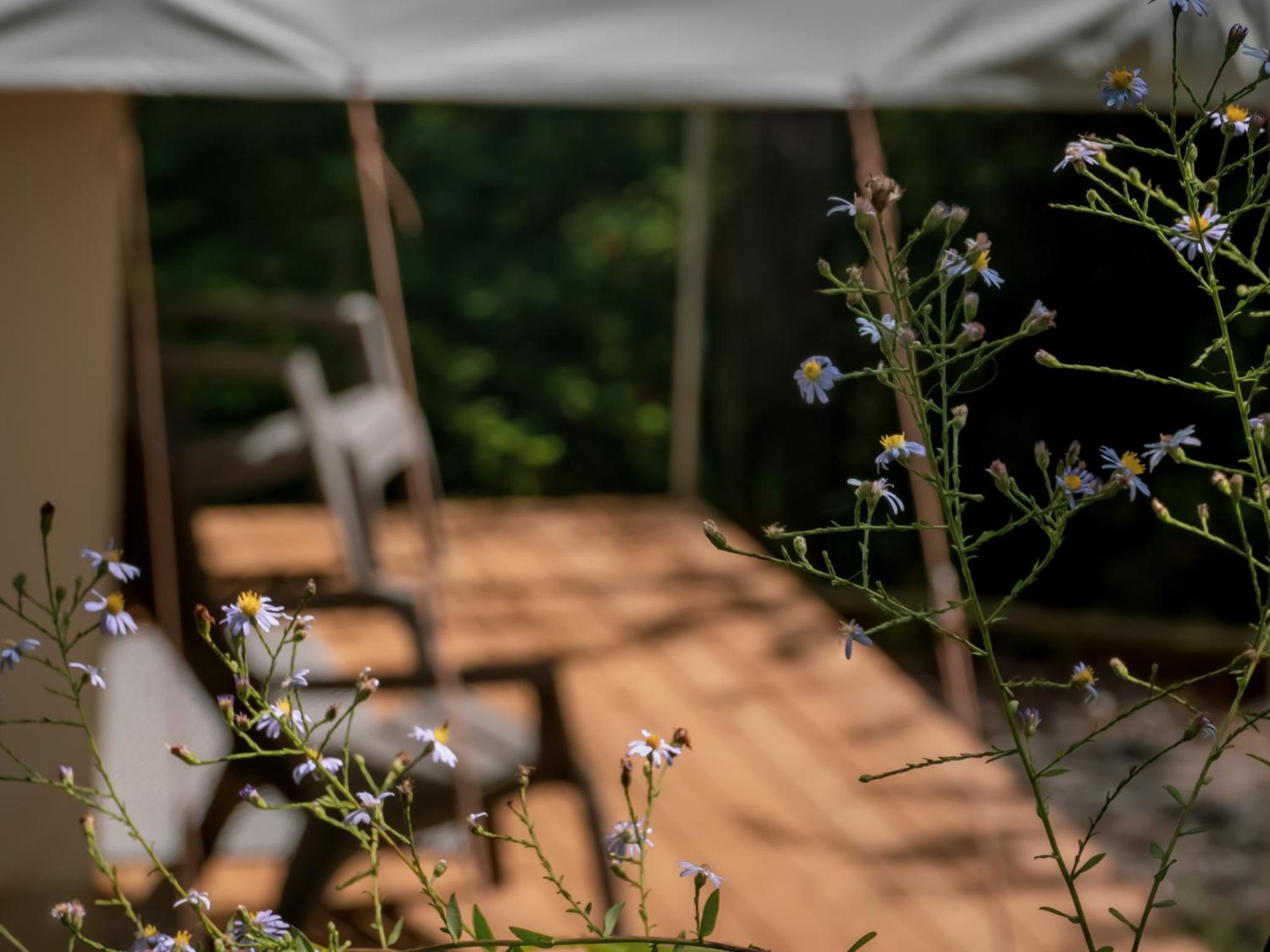Luxury Spacious Glamping with Lake View - Property Image 20