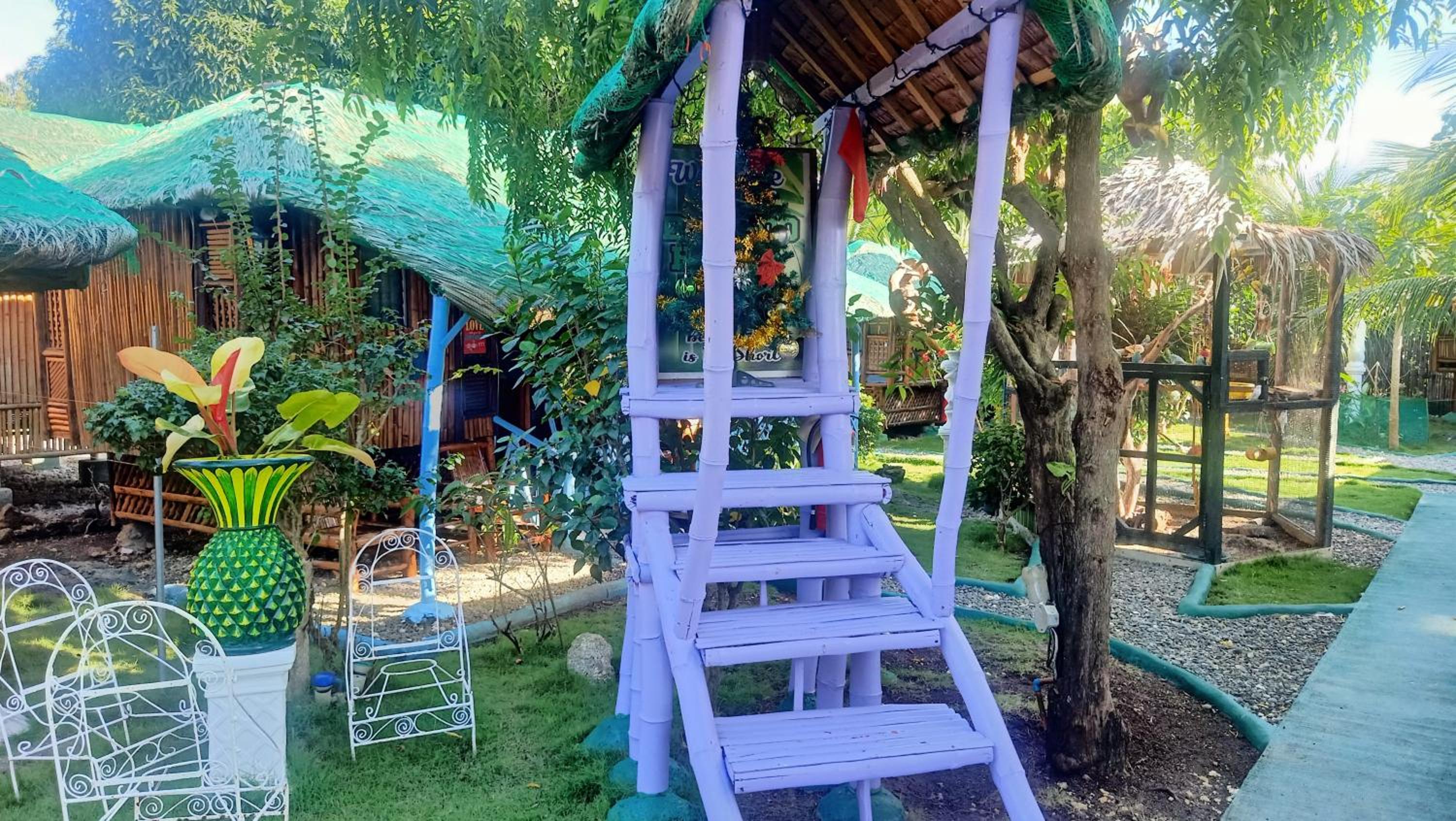 Moalboal Bamboo Guest House view 5
