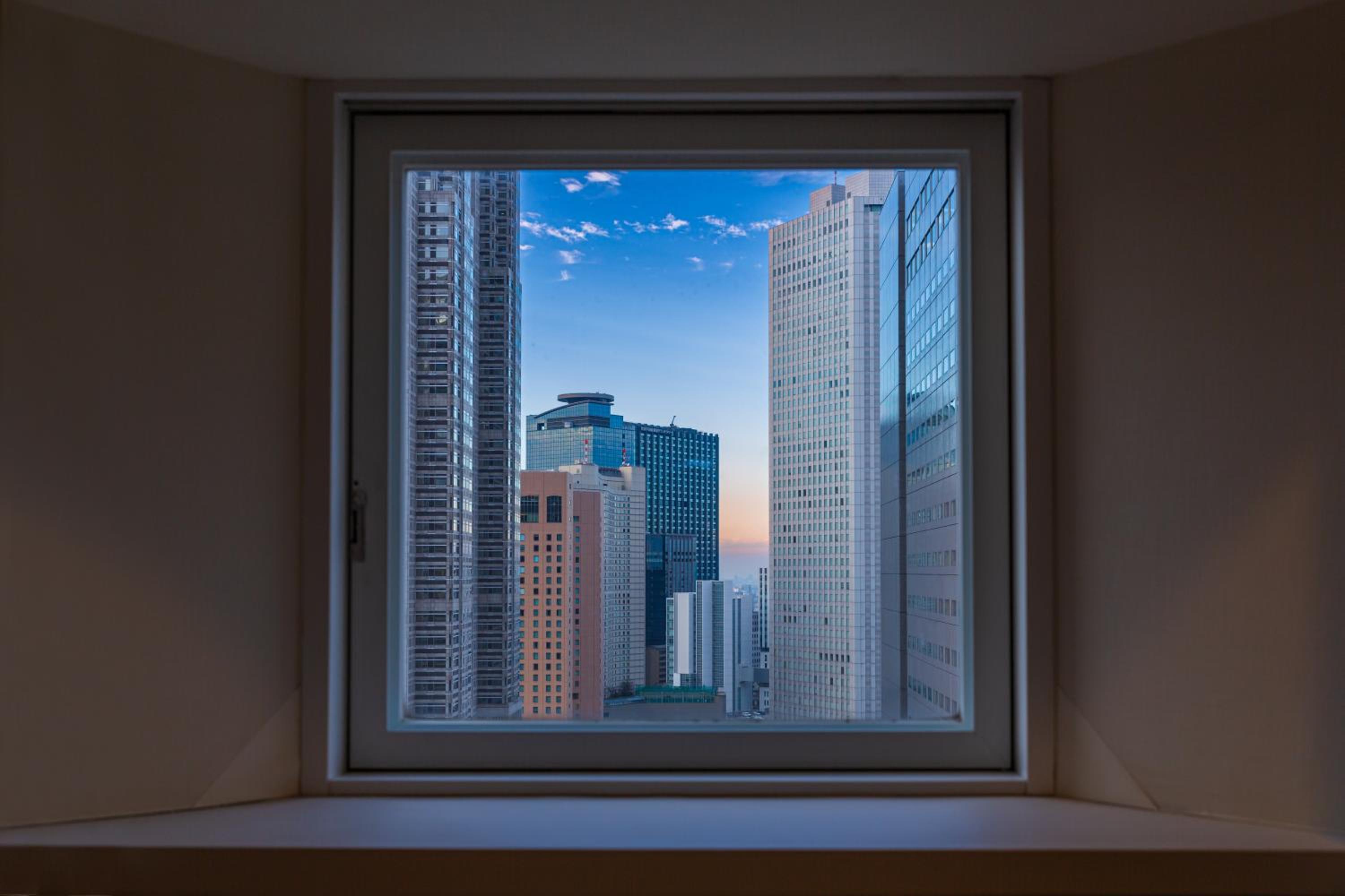 Shinjuku Washington Hotel Main 7