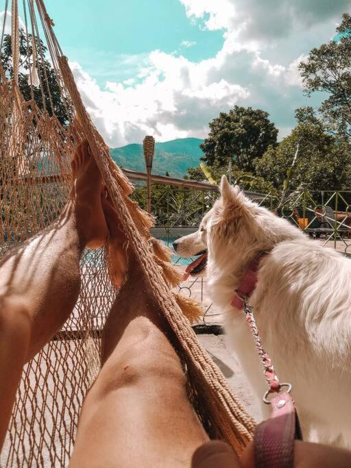 Experiencia de finca campestre Las Palmas