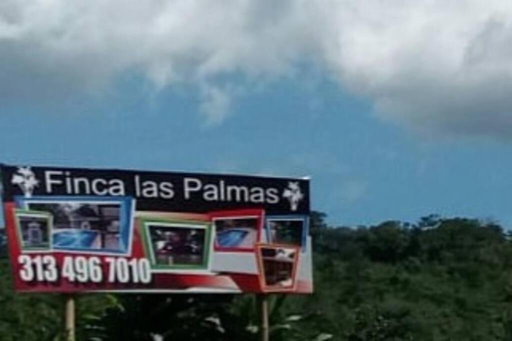 Experiencia de finca campestre Las Palmas