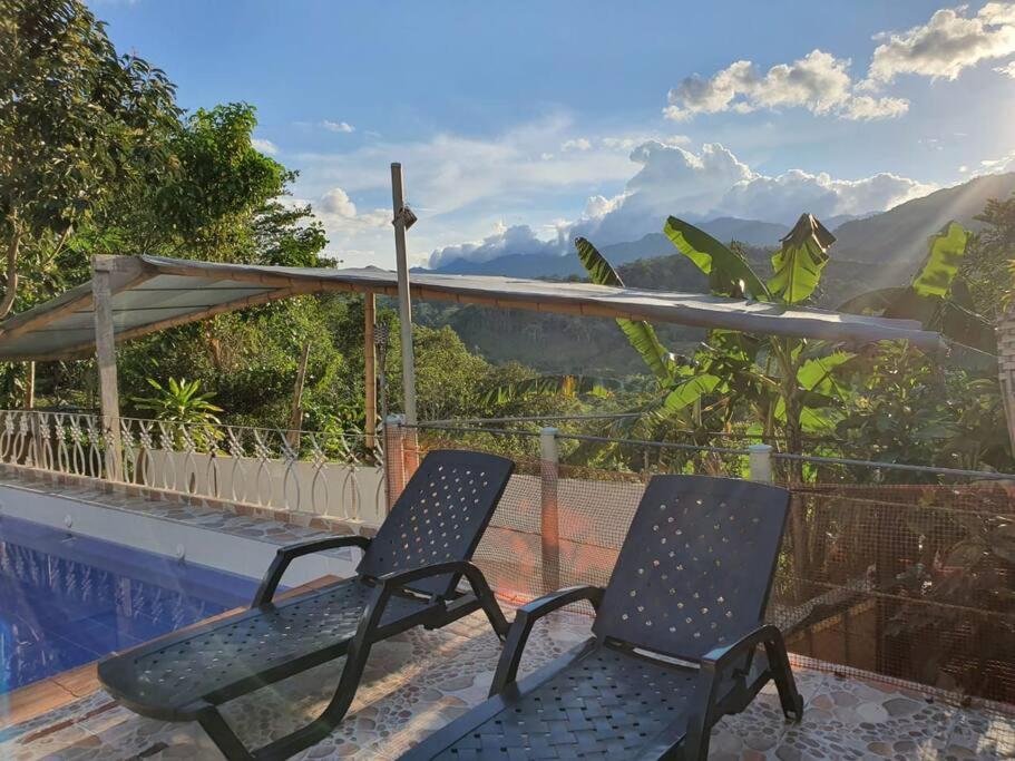 Experiencia de finca campestre Las Palmas