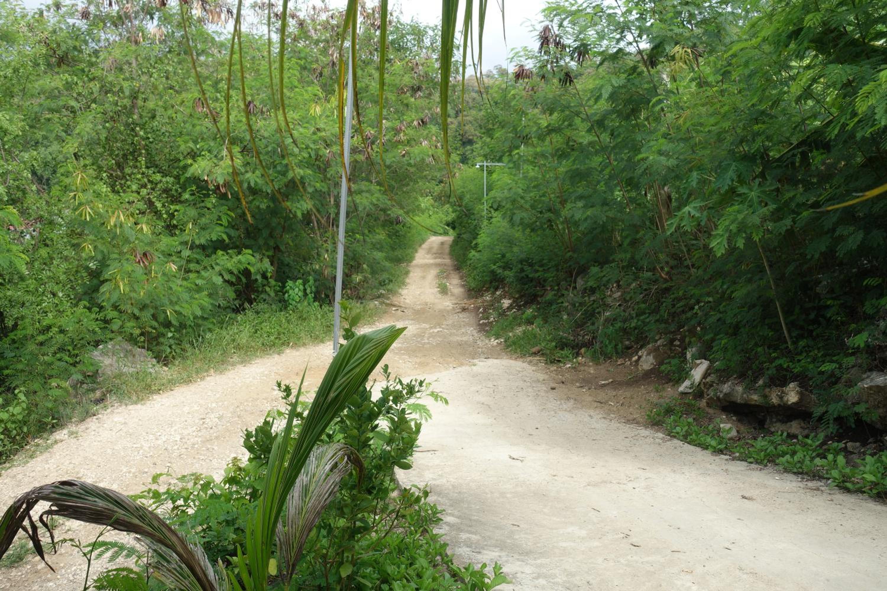 Photo 23