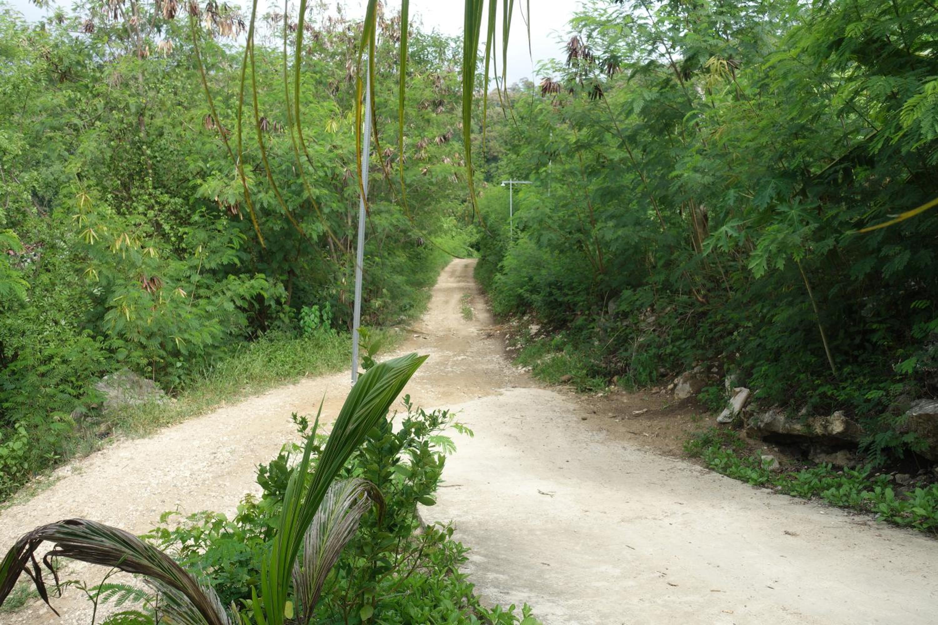 Photo 22