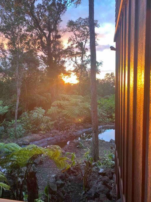 Private and Quiet Guest Apt in Hawaii Cloud Forest view 4