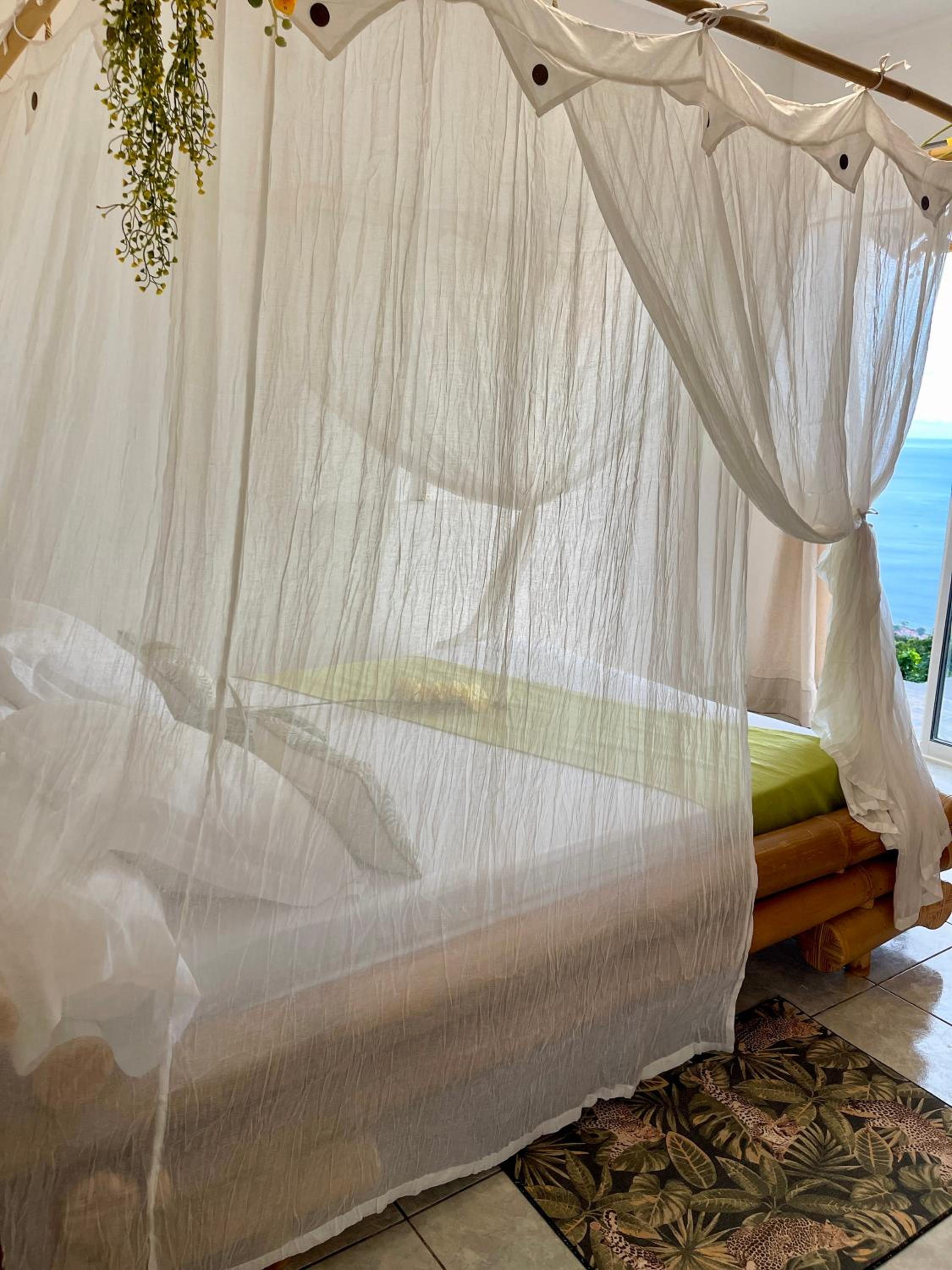 Bas de Villa Tropical Soul view 3