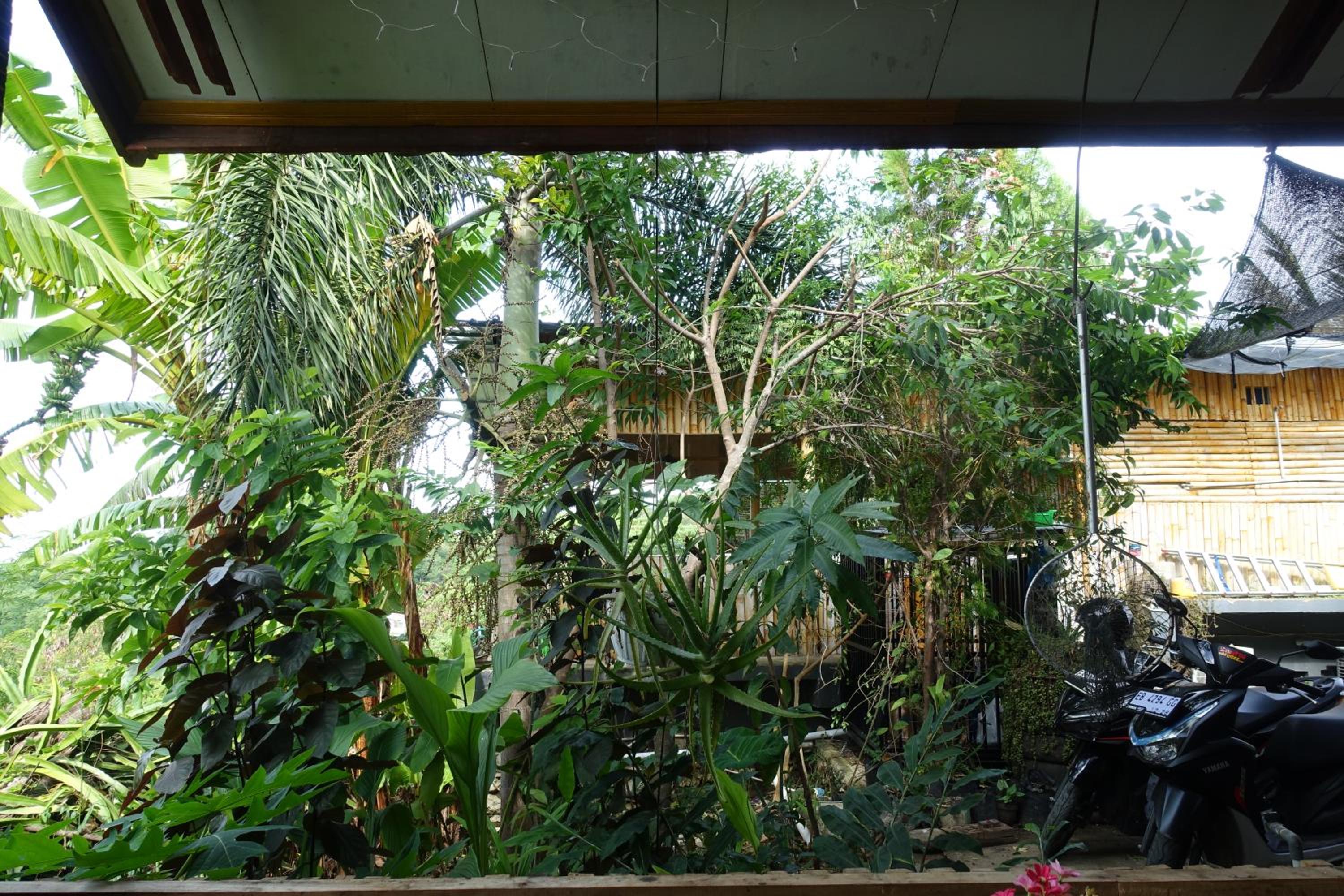 Photo 48