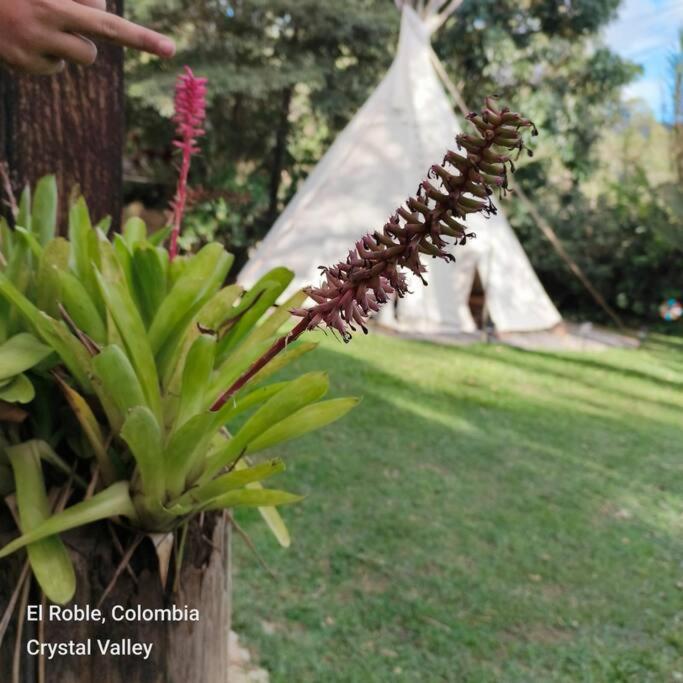 Casa Prana Villa De Leyva Privada - Property Image 19
