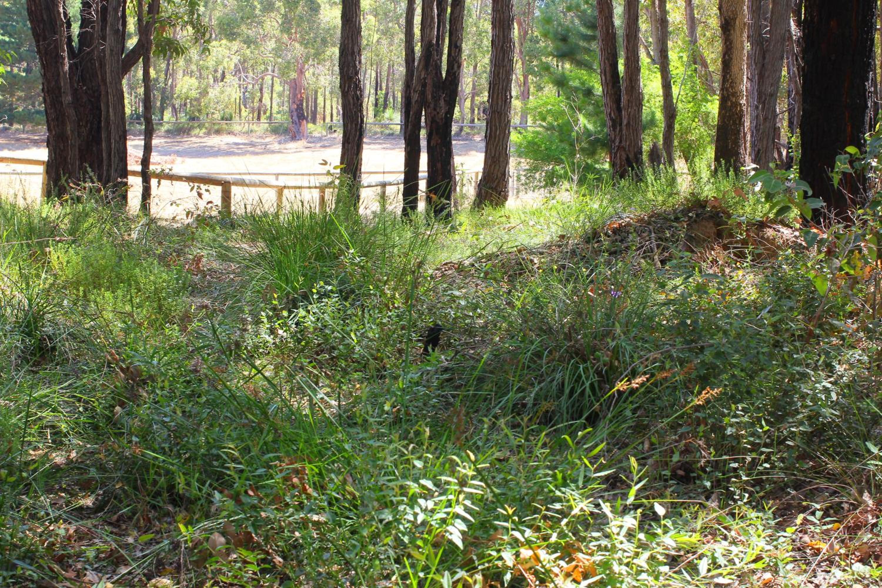 Hidden Valley Eco Spa Lodges & Day Spa