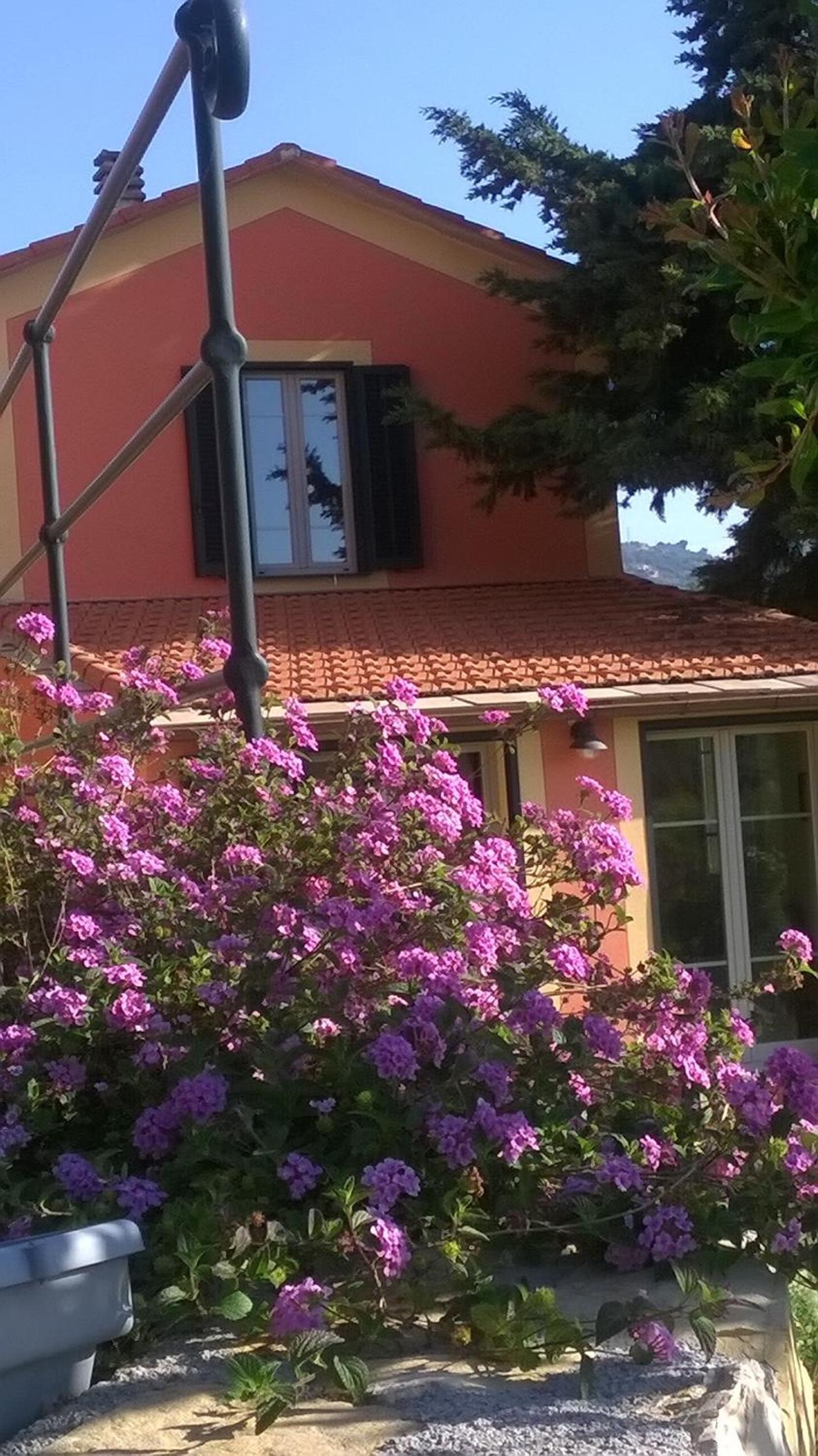 Photo 45