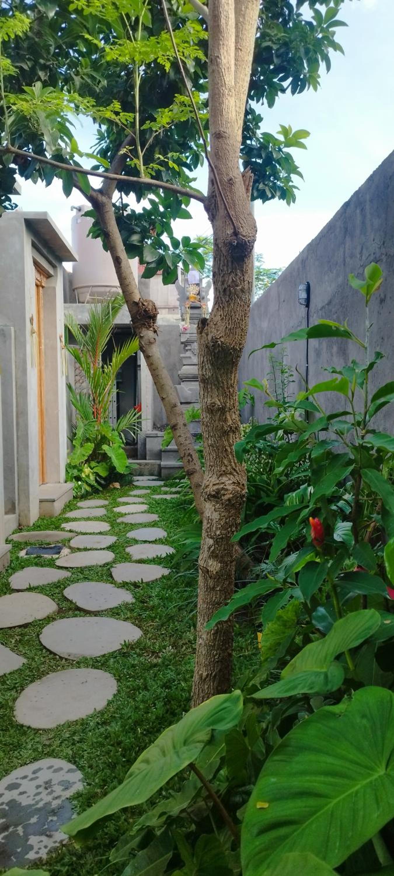 Avocado House - Private House With Garden View view 5