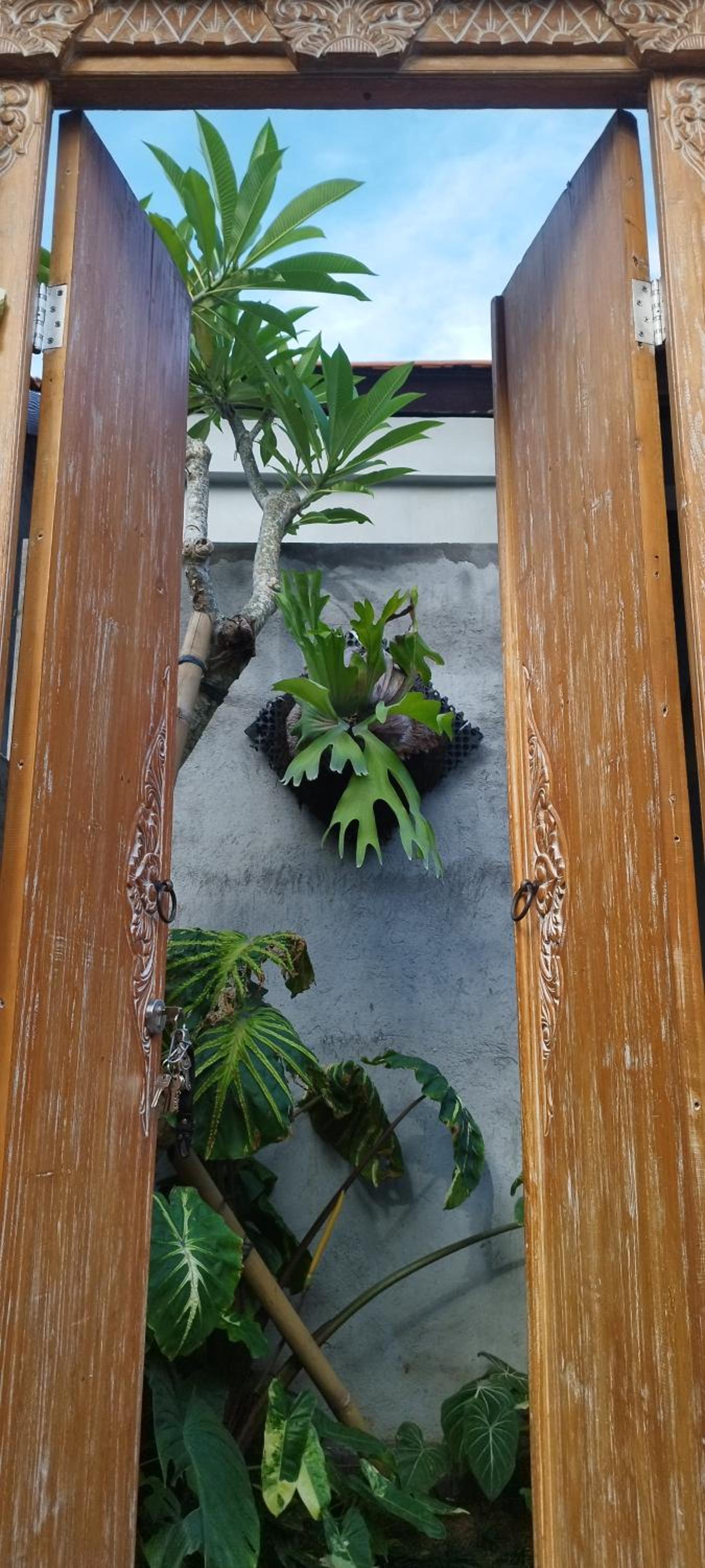 Avocado House - Private House With Garden View view 4