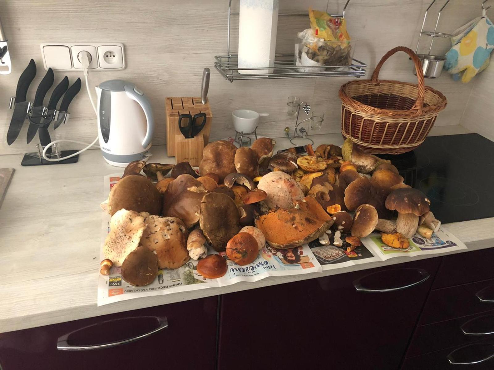 Apartmán Borůvka