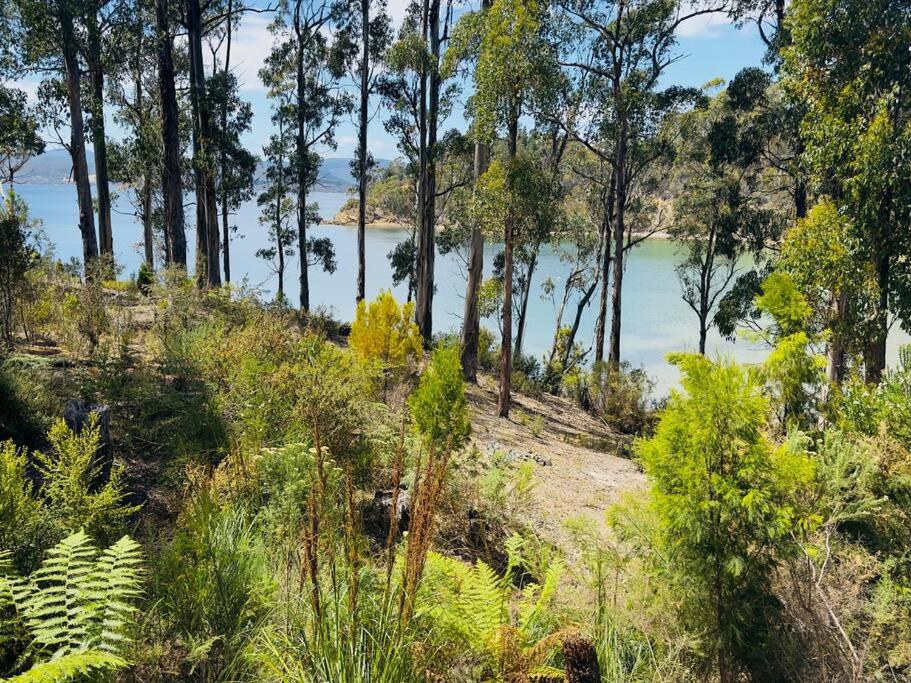 Hidden on Huon