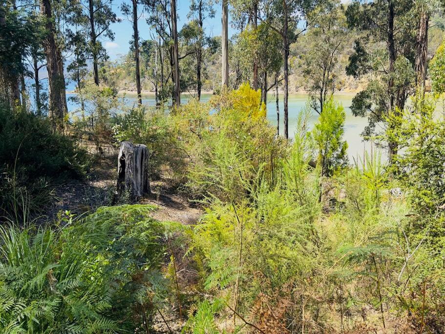 Hidden on Huon