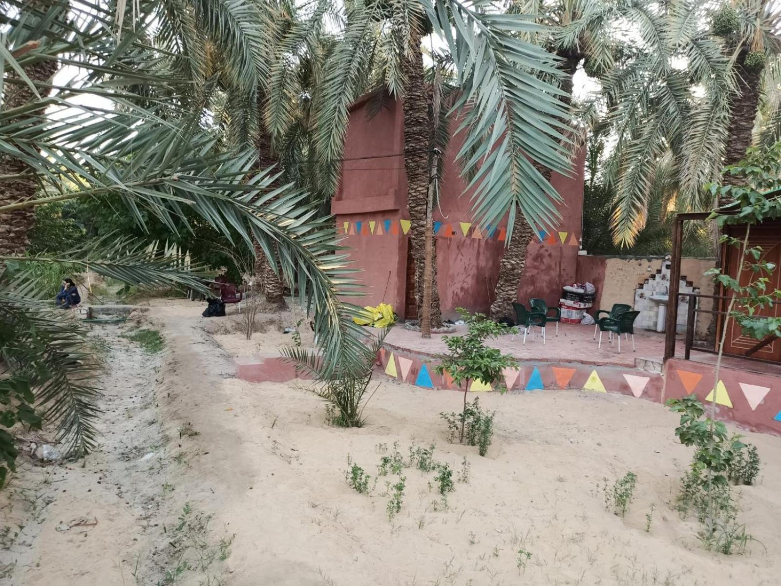 Omar Oasis