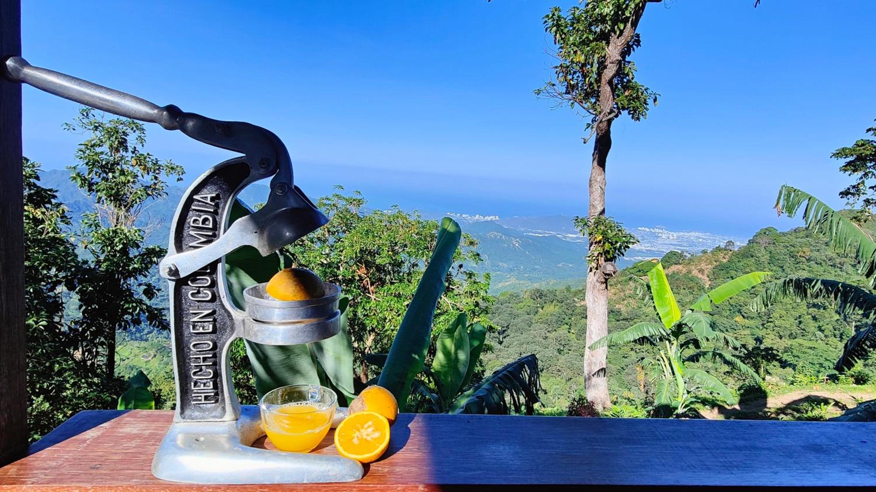 Minca Sintropia - Sustainable Lodge & Organic Coffee Finca