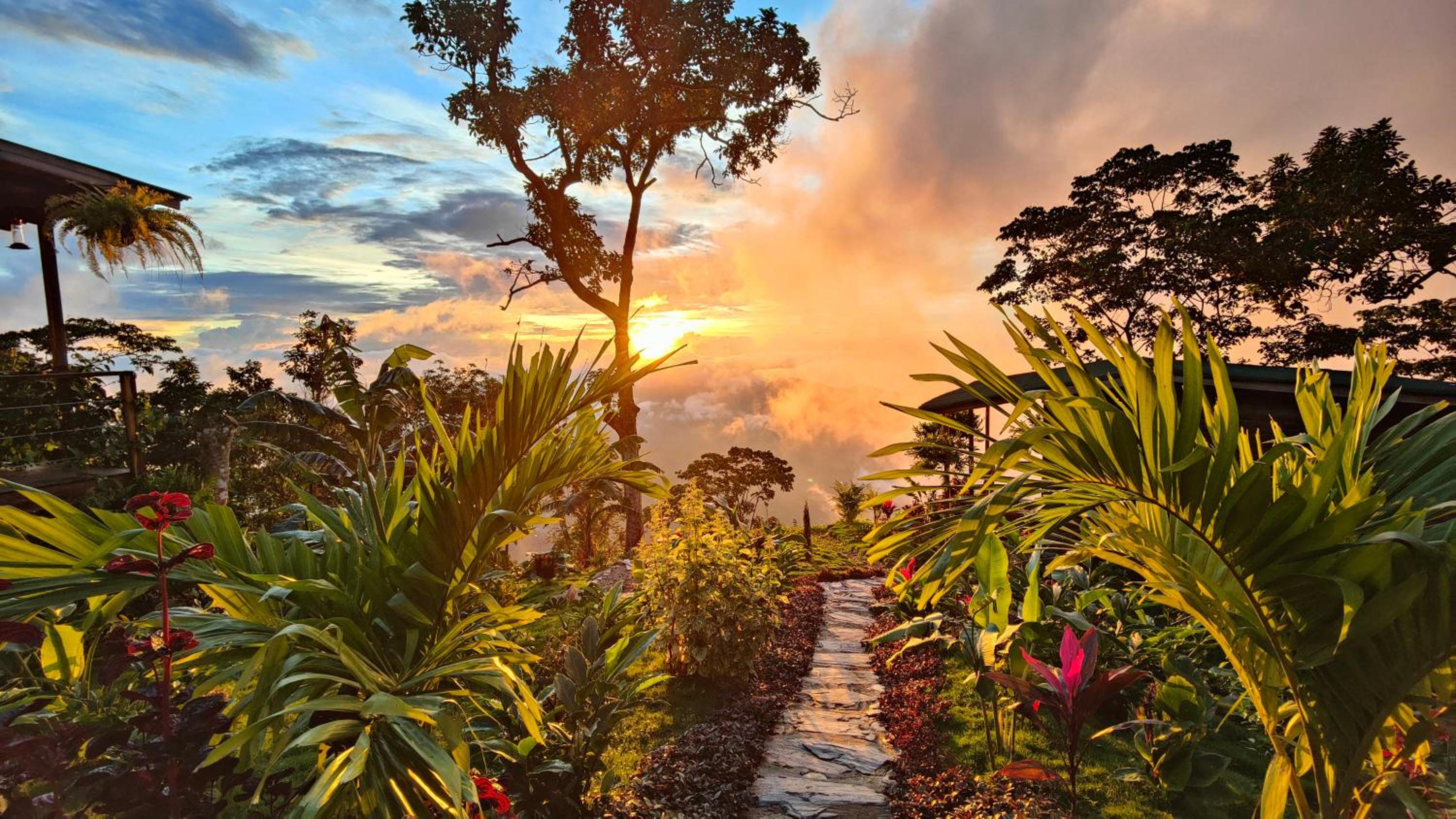 Minca Sintropia - Sustainable Lodge & Organic Coffee Finca