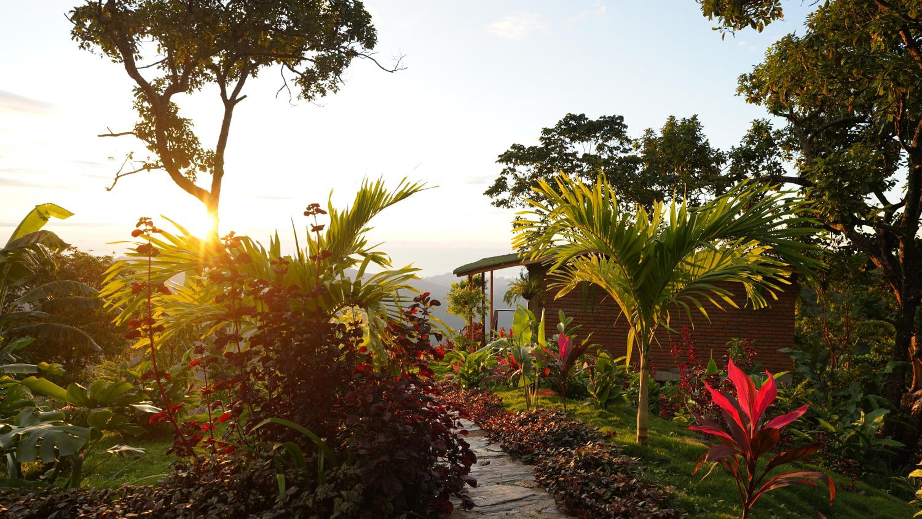 Minca Sintropia - Sustainable Lodge & Organic Coffee Finca