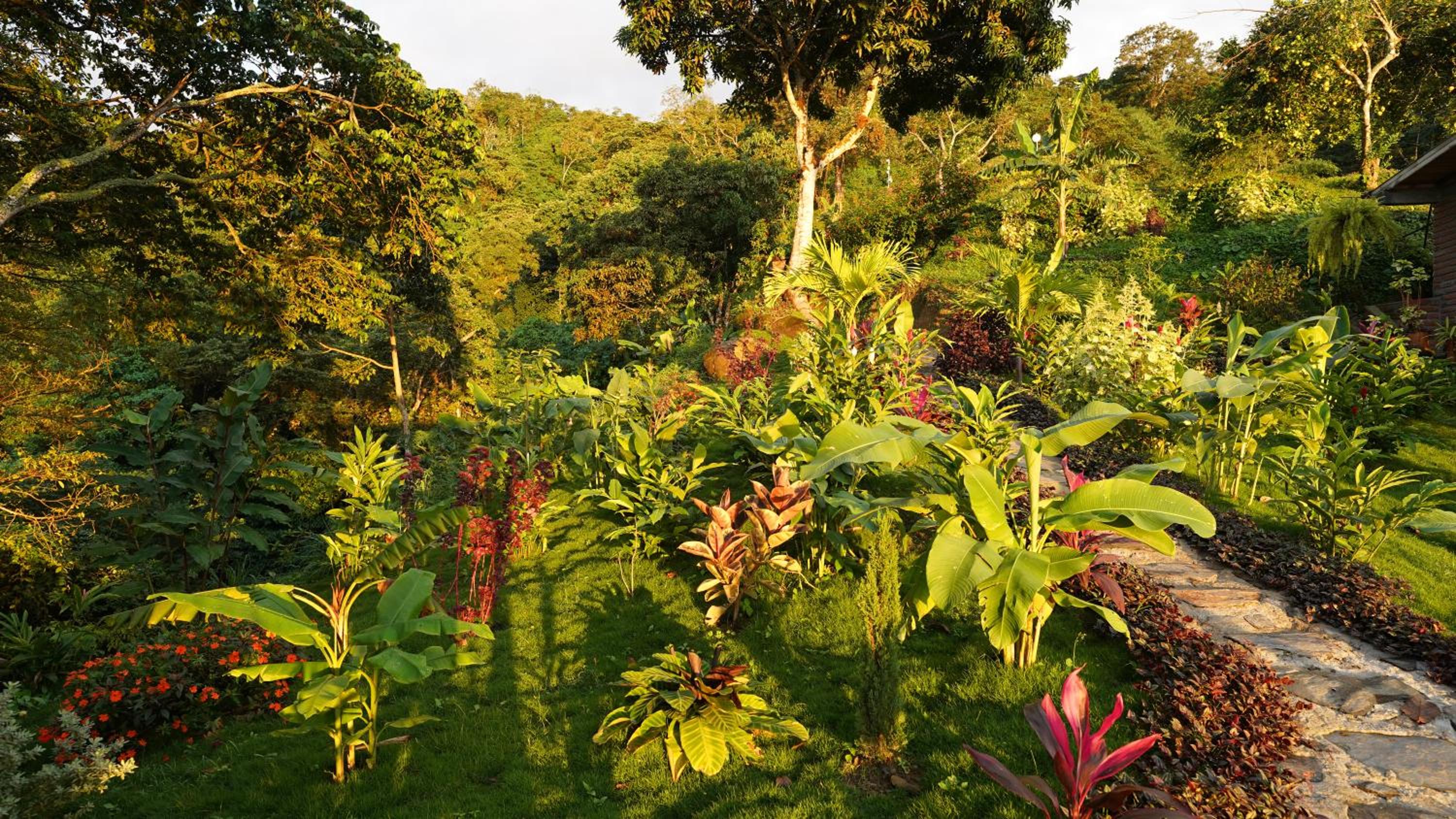 Minca Sintropia - Sustainable Lodge & Organic Coffee Finca