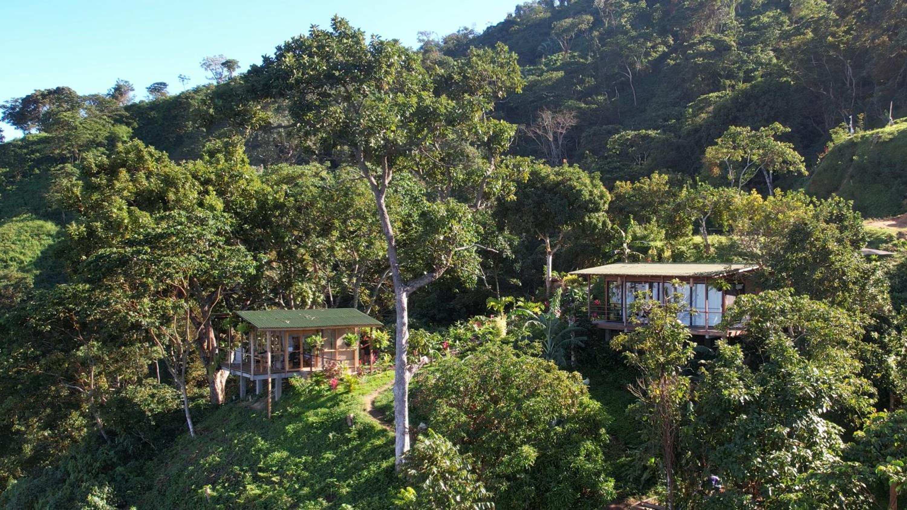 Minca Sintropia - Sustainable Lodge & Organic Coffee Finca