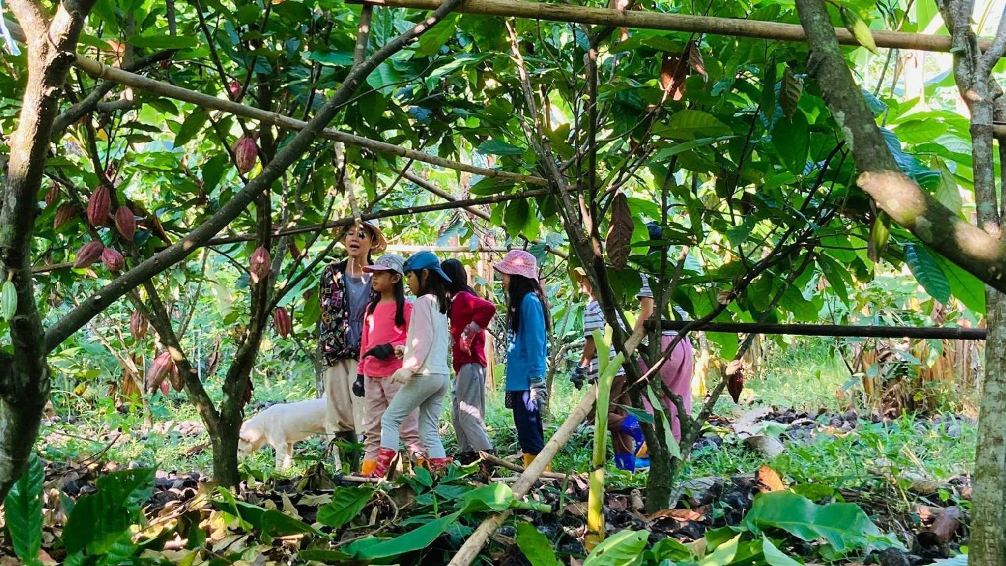 Nui Tuong Village Stay