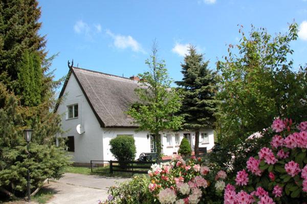 Meeressterne Ferienresort Damerow