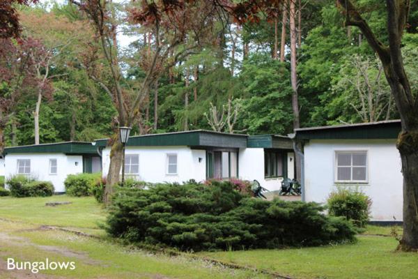 Meeressterne Ferienresort Damerow