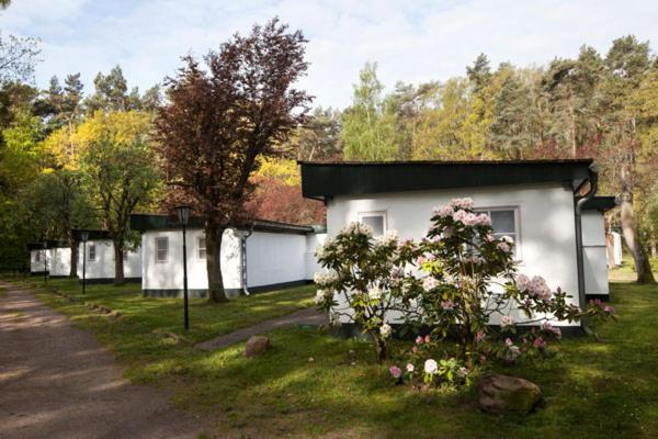Meeressterne Ferienresort Damerow