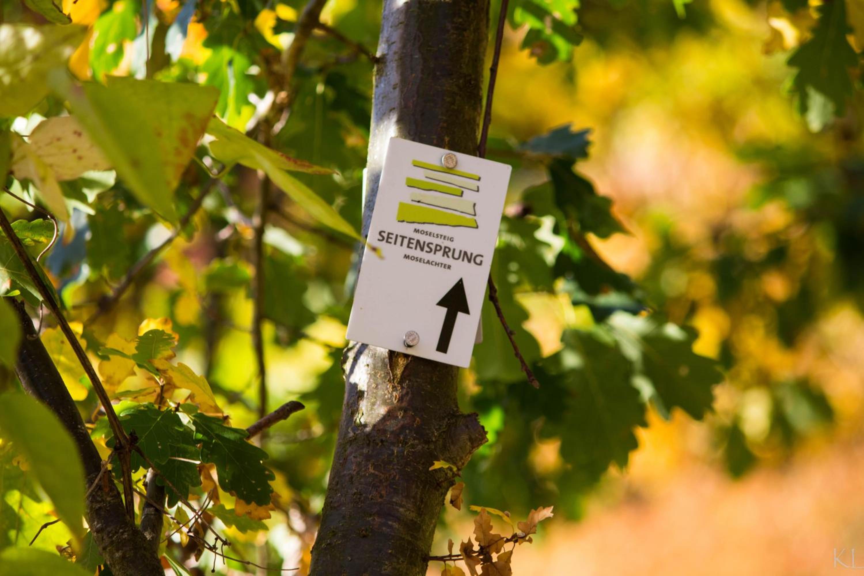 Wein- und Gästehaus Lentes