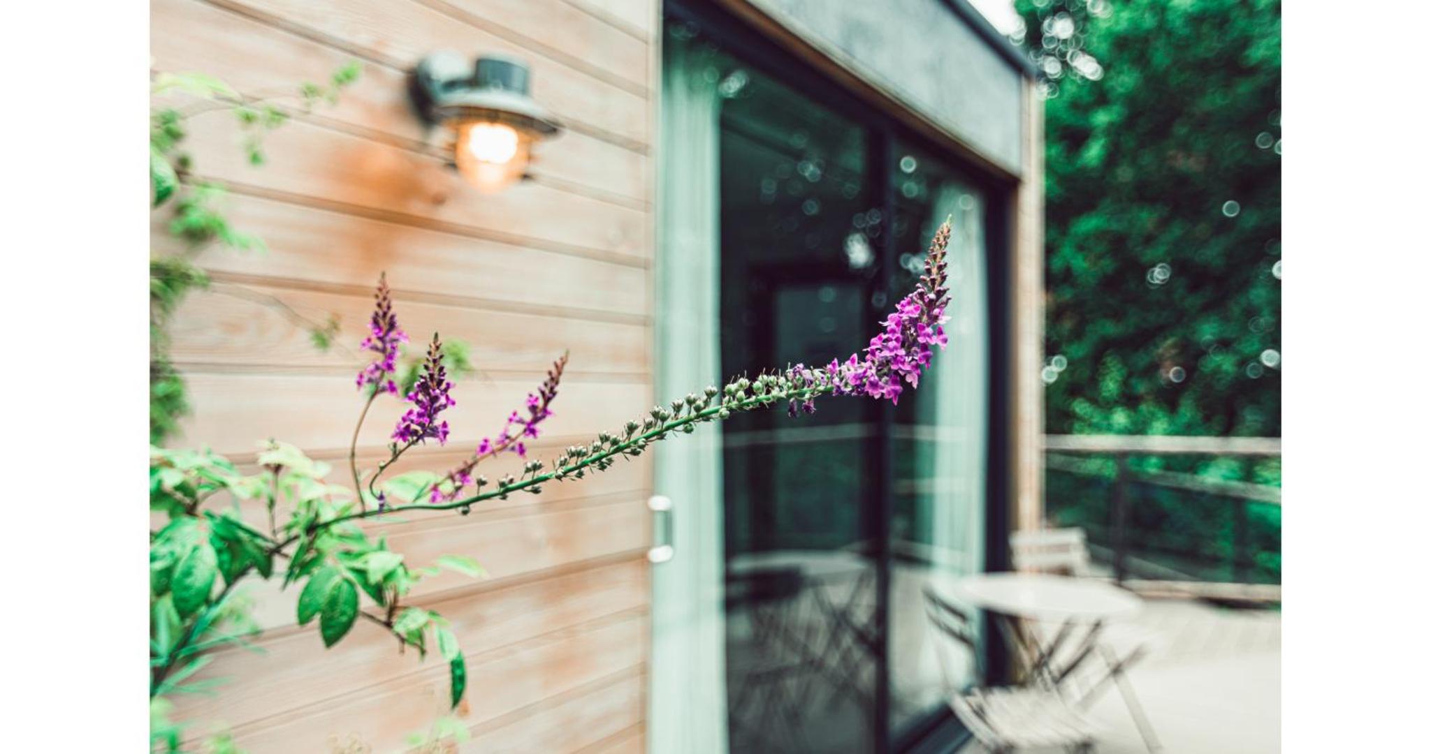 Clophill Eco Lodges view 2