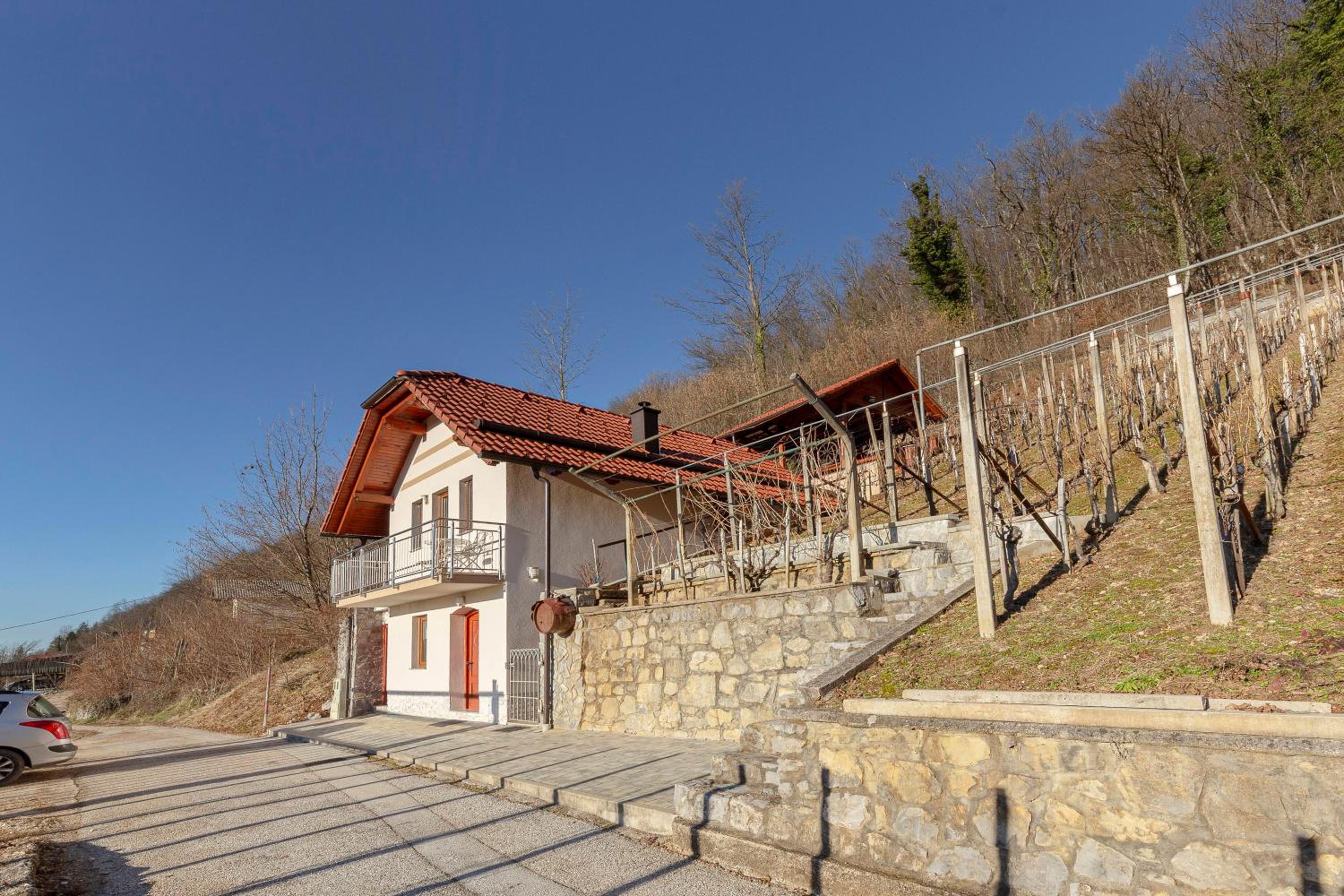 Photo 9